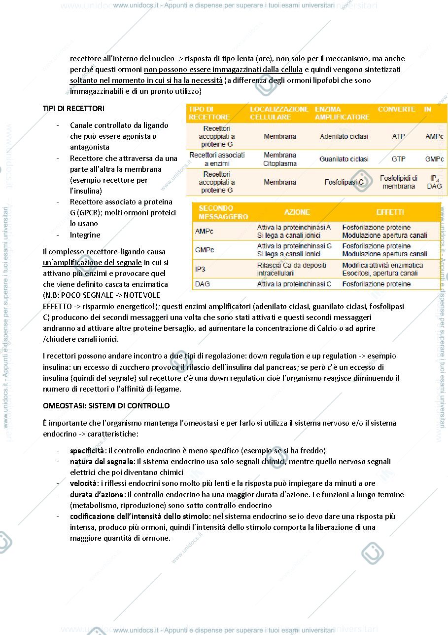 Anteprima pagina 2 — ENDOCRINOLOGIA