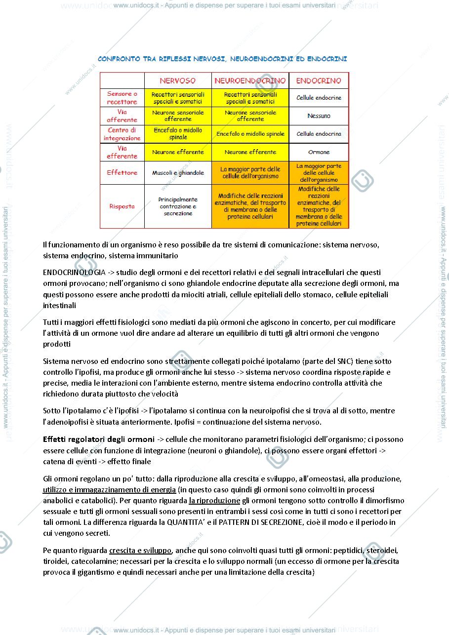 Anteprima pagina 3 — ENDOCRINOLOGIA