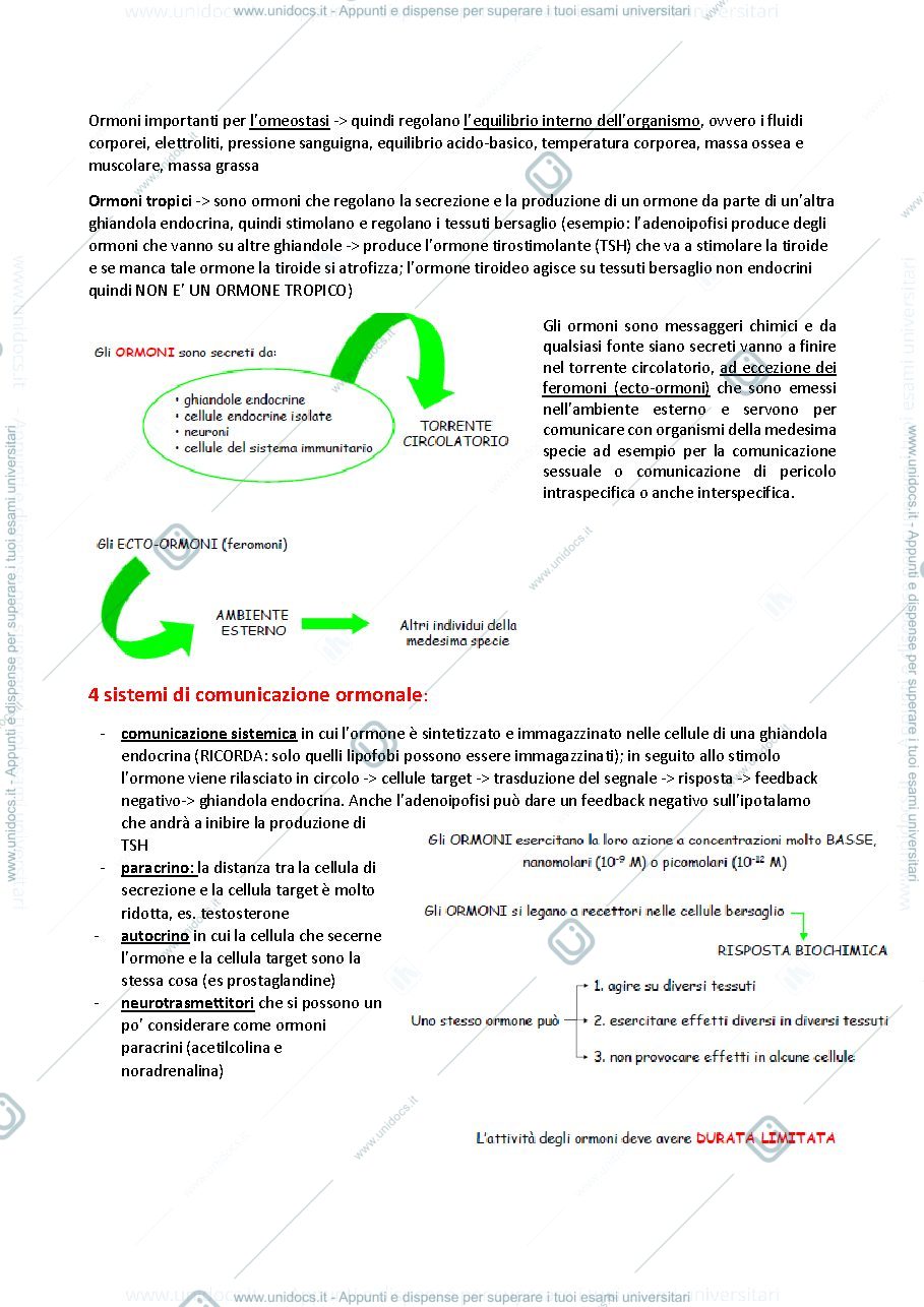 Anteprima pagina 4 — ENDOCRINOLOGIA