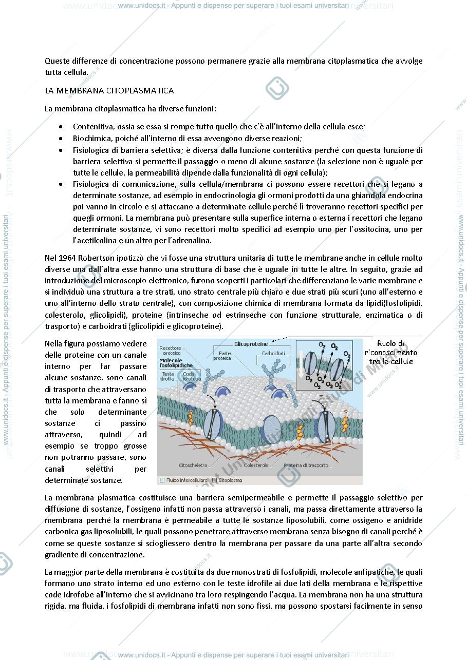 Anteprima pagina 2 — Fisiologia degli animali domestici