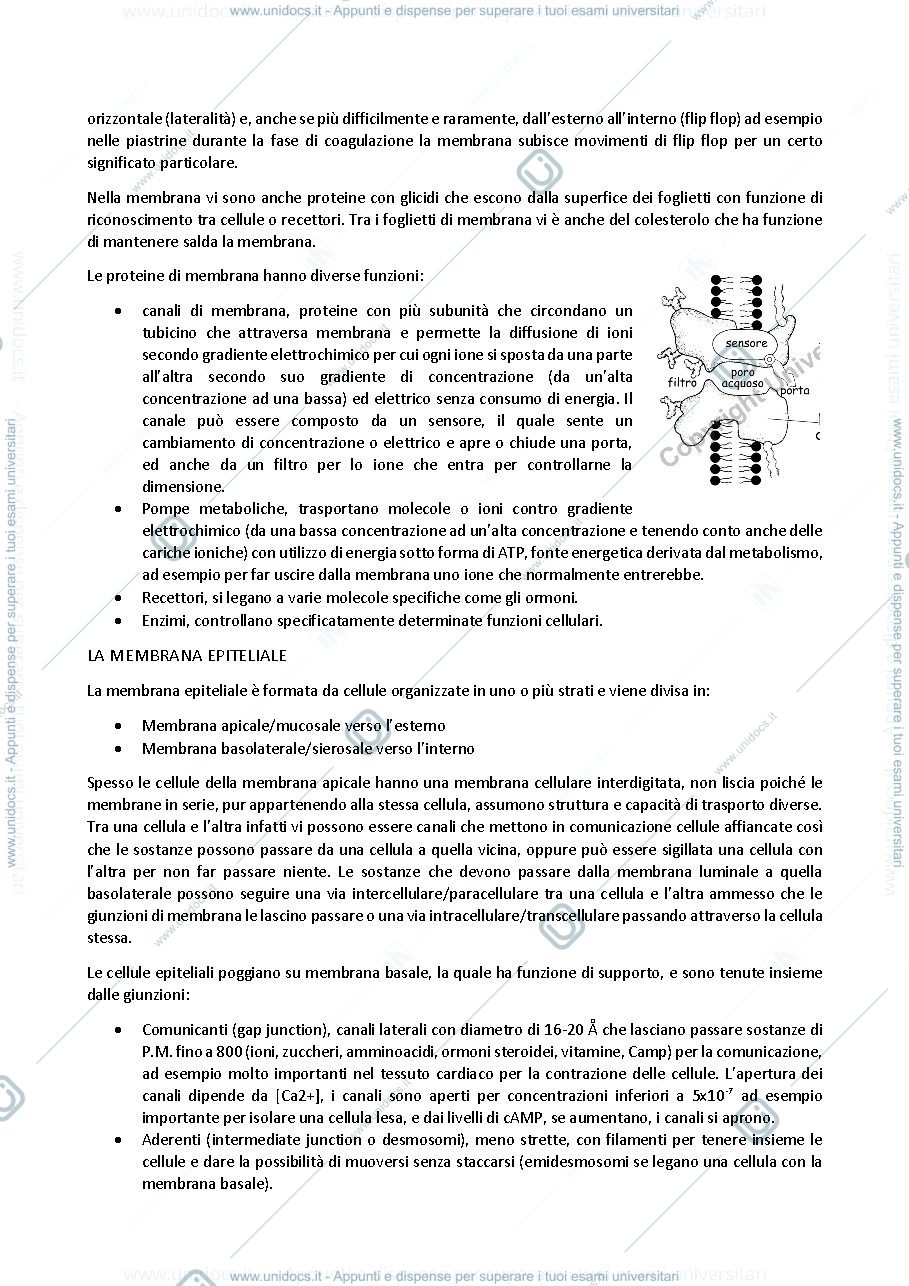 Anteprima pagina 3 — Fisiologia degli animali domestici