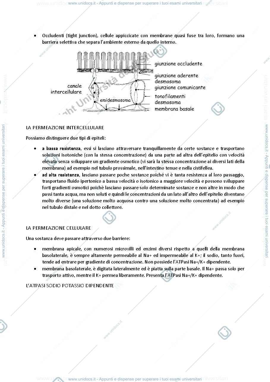 Anteprima pagina 4 — Fisiologia degli animali domestici