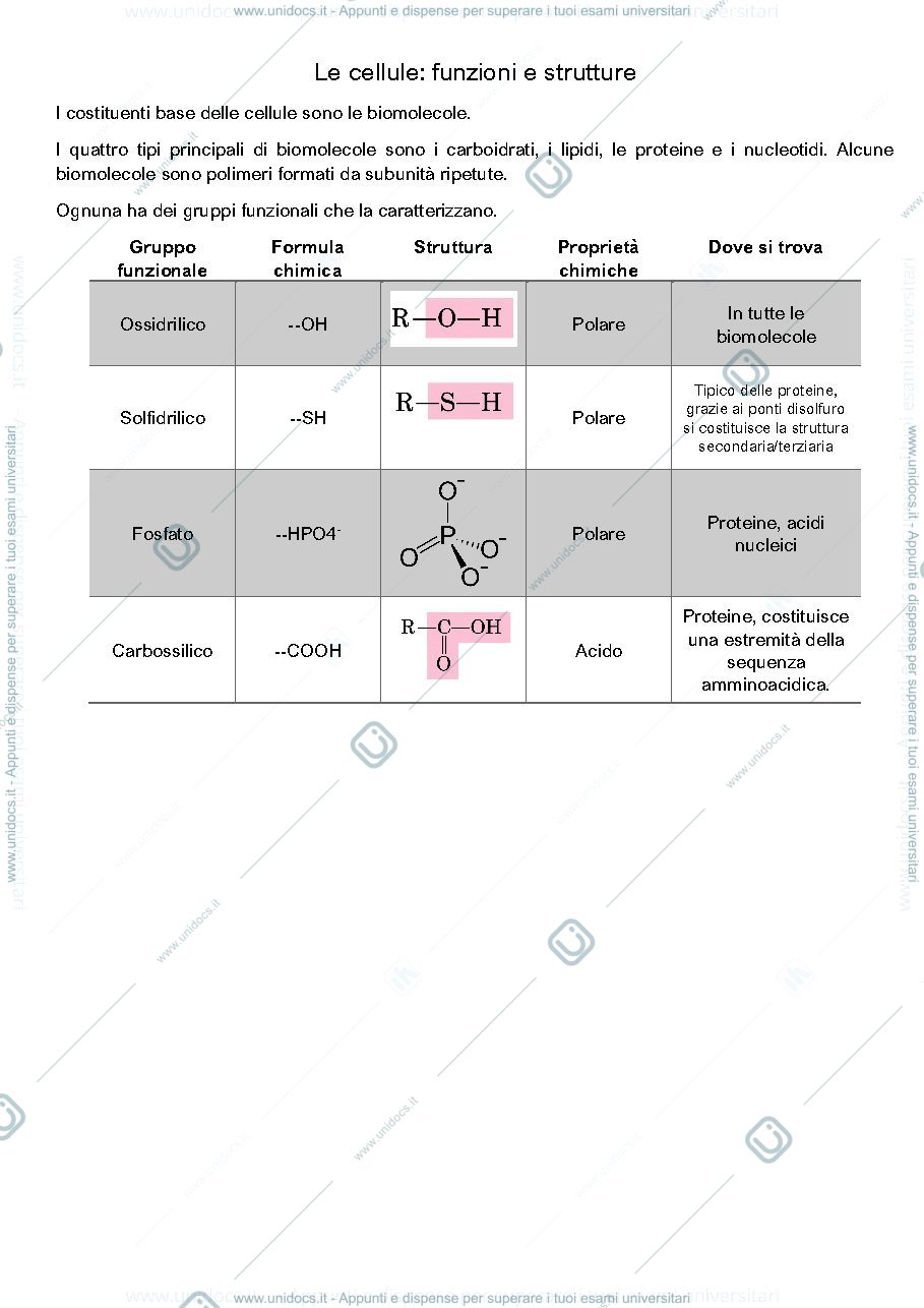 Anteprima pagina 1 — Fisiologia appunti spisni completi