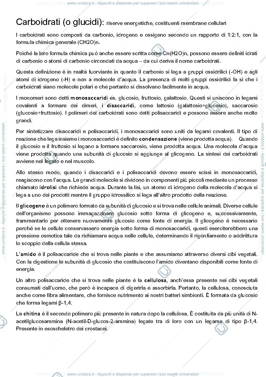 Anteprima pagina 2 — Fisiologia appunti spisni completi
