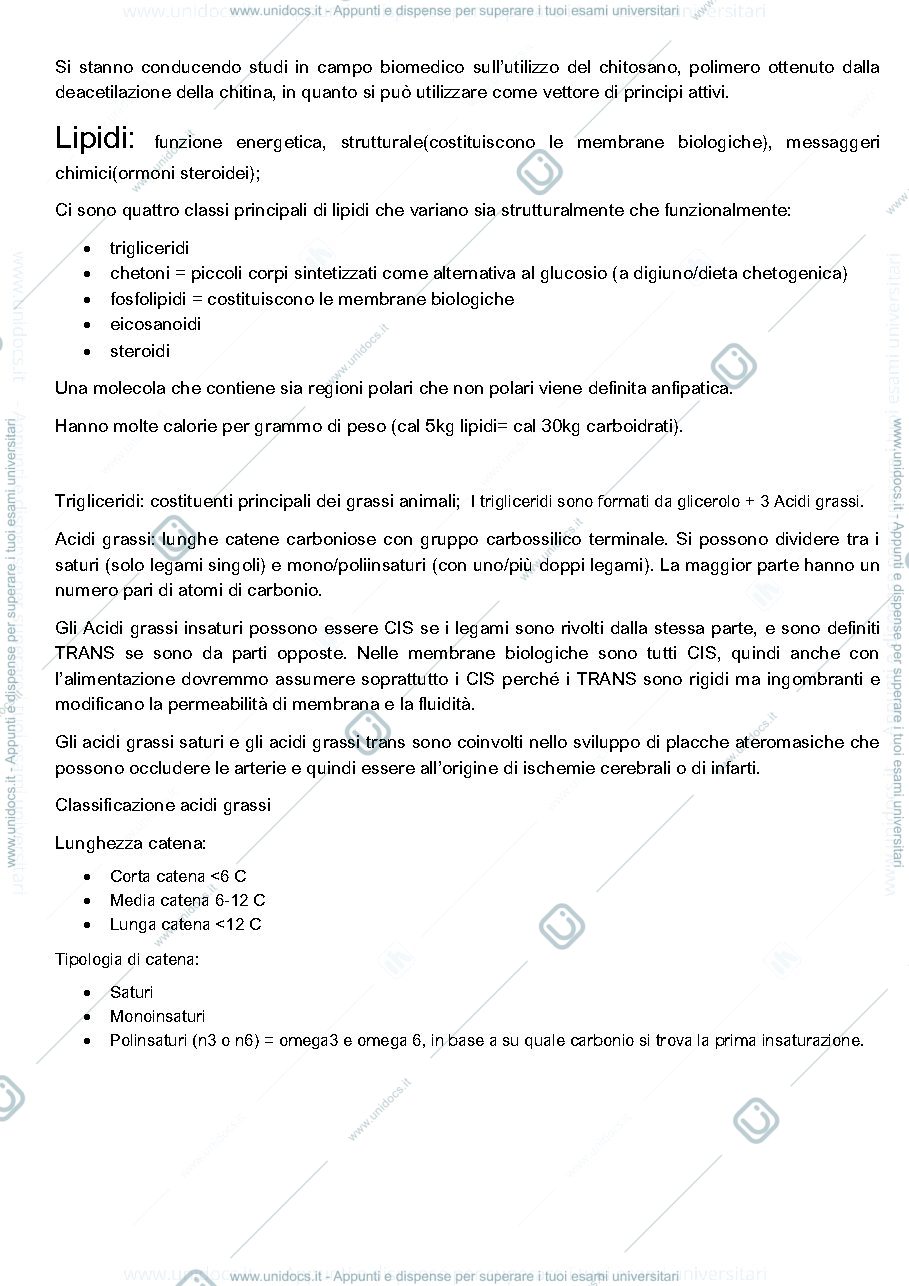 Anteprima pagina 3 — Fisiologia appunti spisni completi