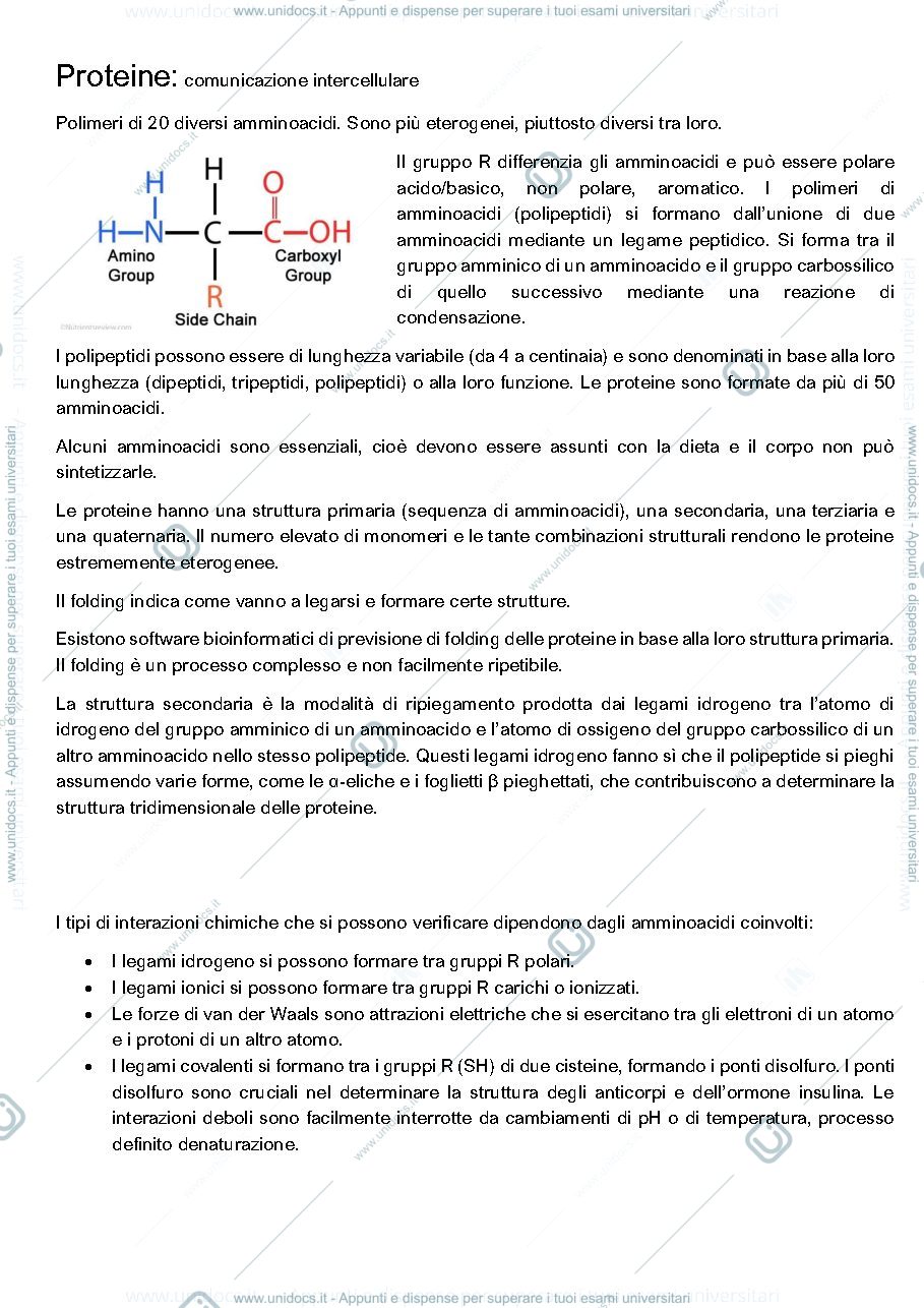 Anteprima pagina 5 — Fisiologia appunti spisni completi