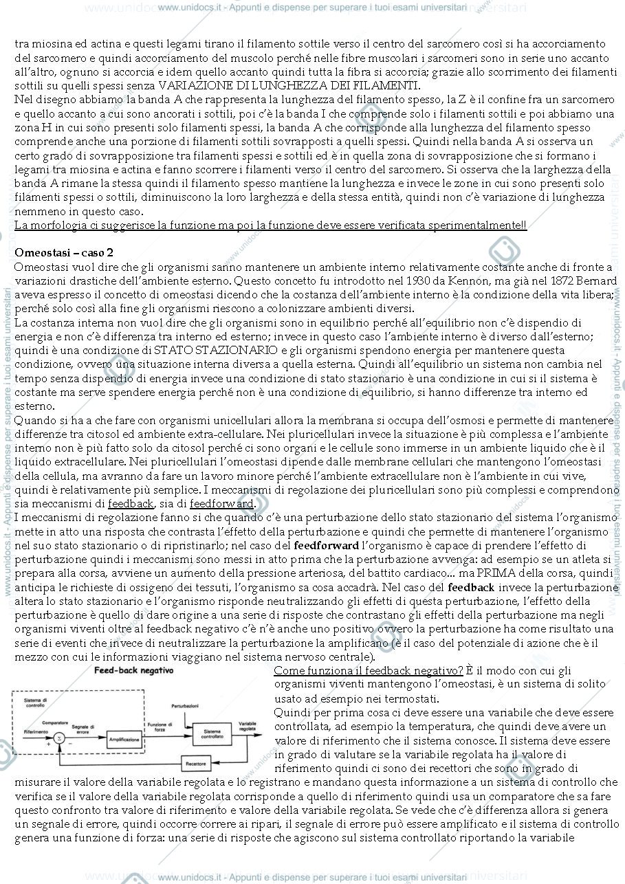 Anteprima pagina 2 — Sbobine Fisiologia Generale