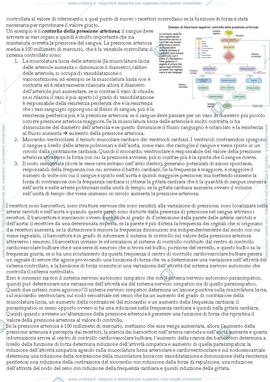Anteprima pagina 3 — Sbobine Fisiologia Generale