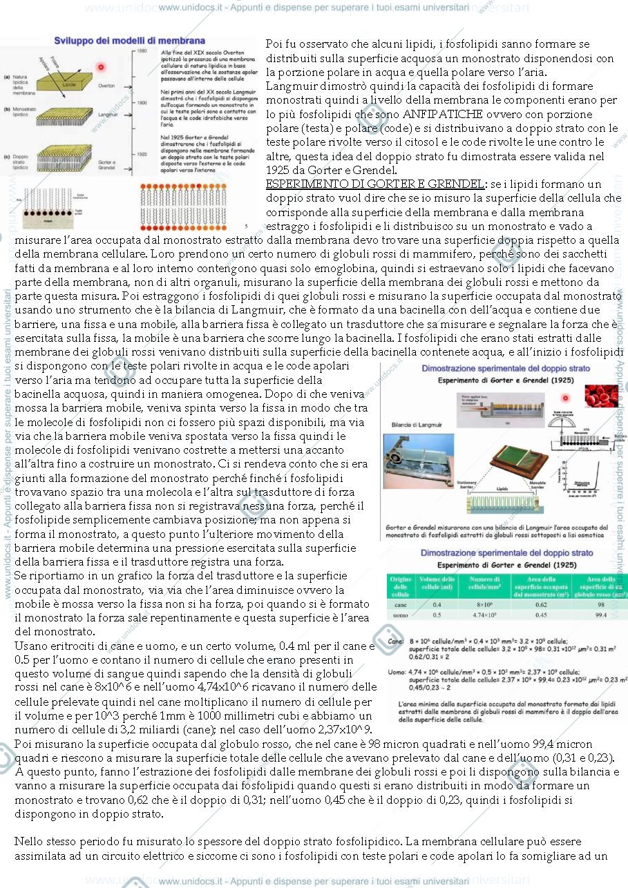 Anteprima pagina 5 — Sbobine Fisiologia Generale
