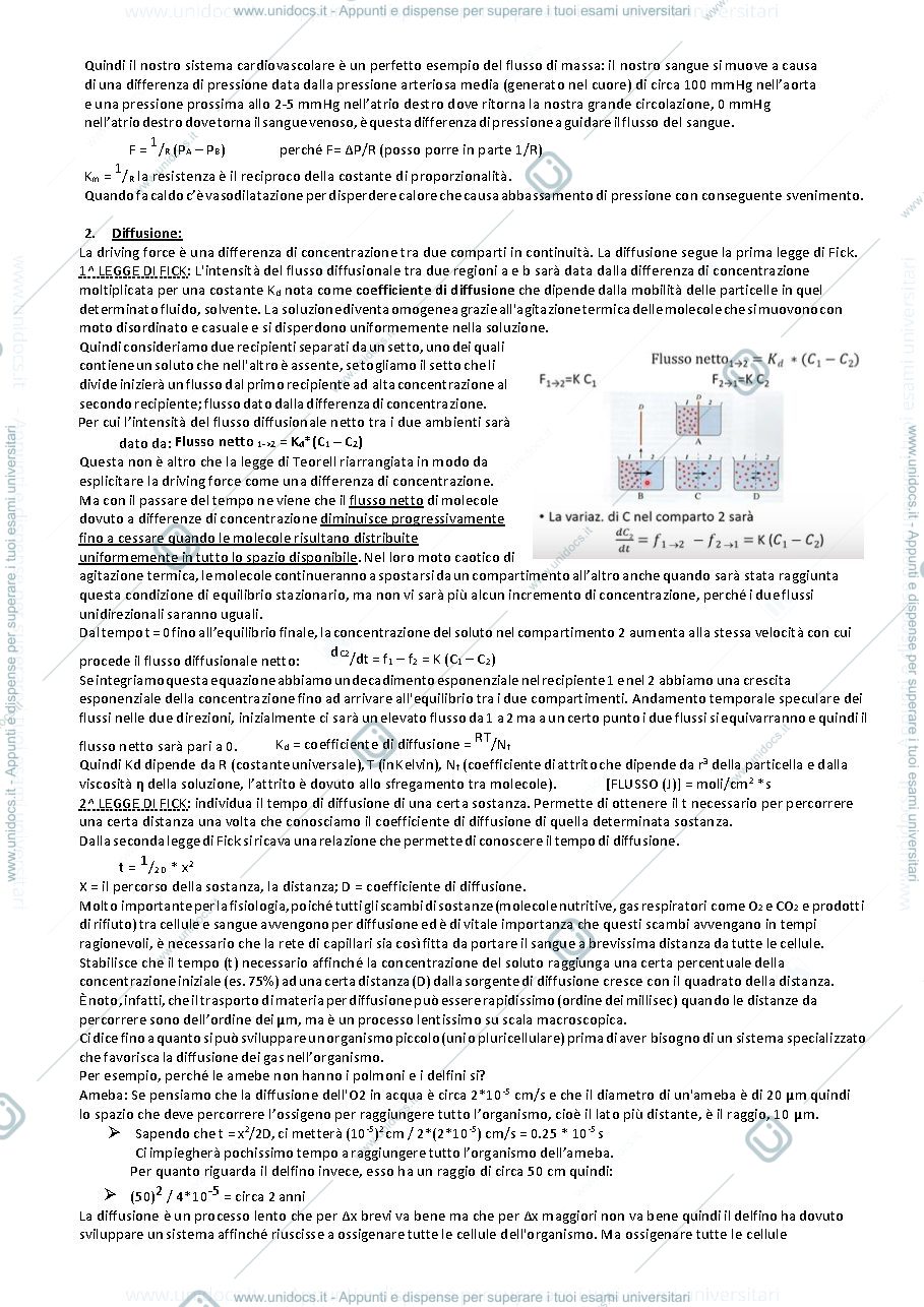 Anteprima pagina 5 — Appunti fisiologia animale