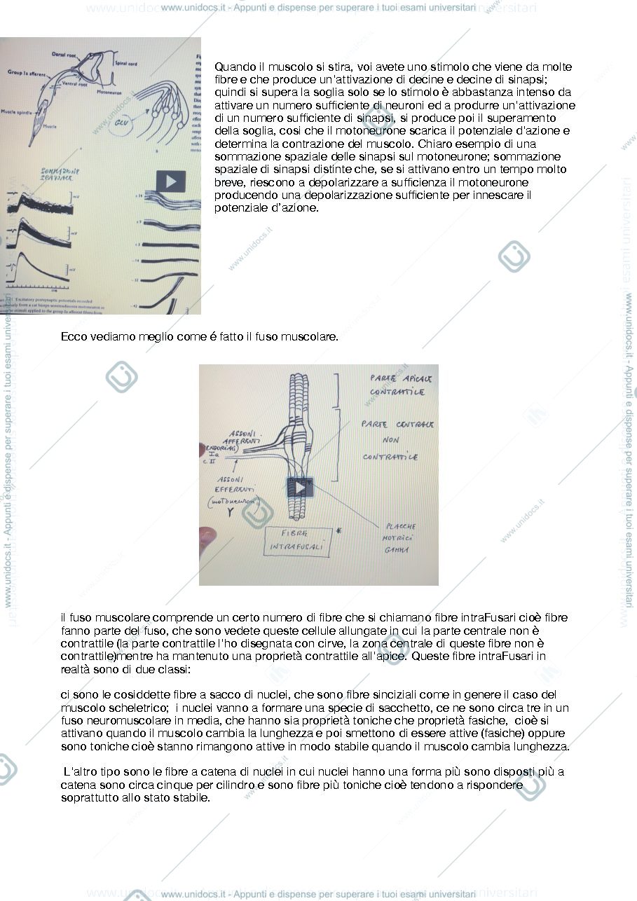Anteprima pagina 2 — archi riflessi