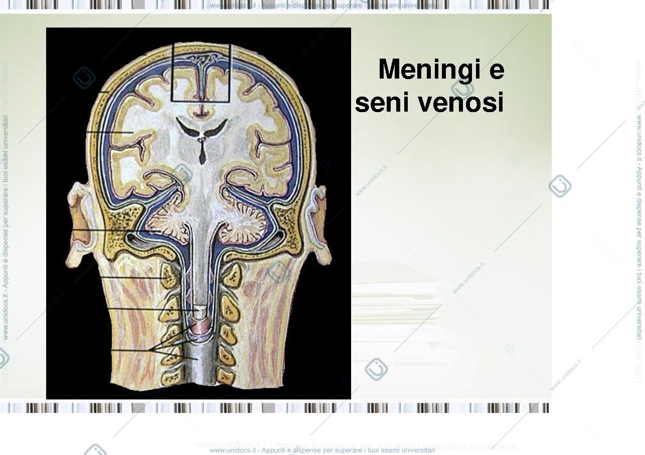 Anteprima pagina 5 — fisiologia generale
