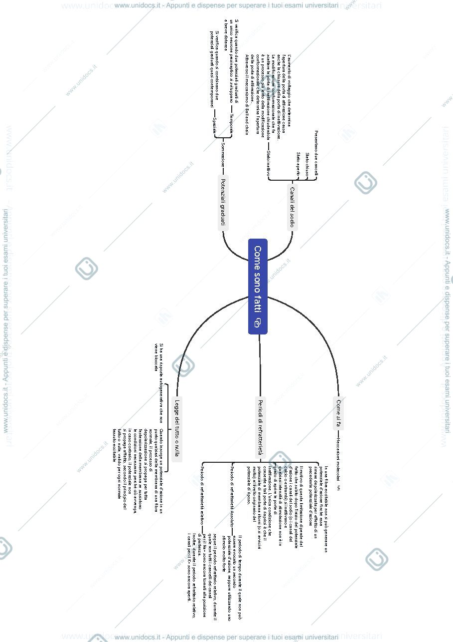 Anteprima pagina 4 — Potenziale d'azione- sistema endocrino