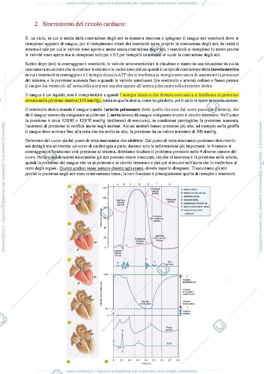 Anteprima pagina 4 — cuore