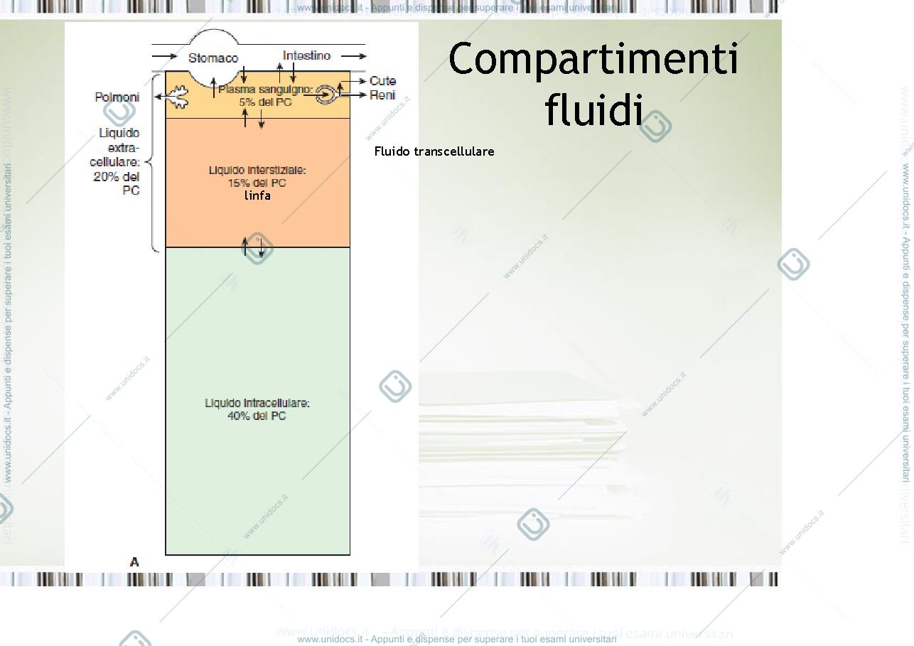 Anteprima pagina 2 — fisiologia generale