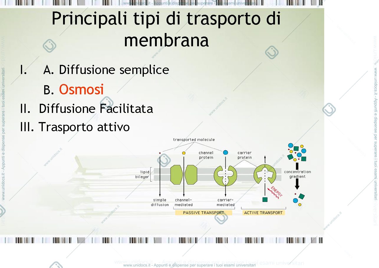 Anteprima pagina 5 — fisiologia generale