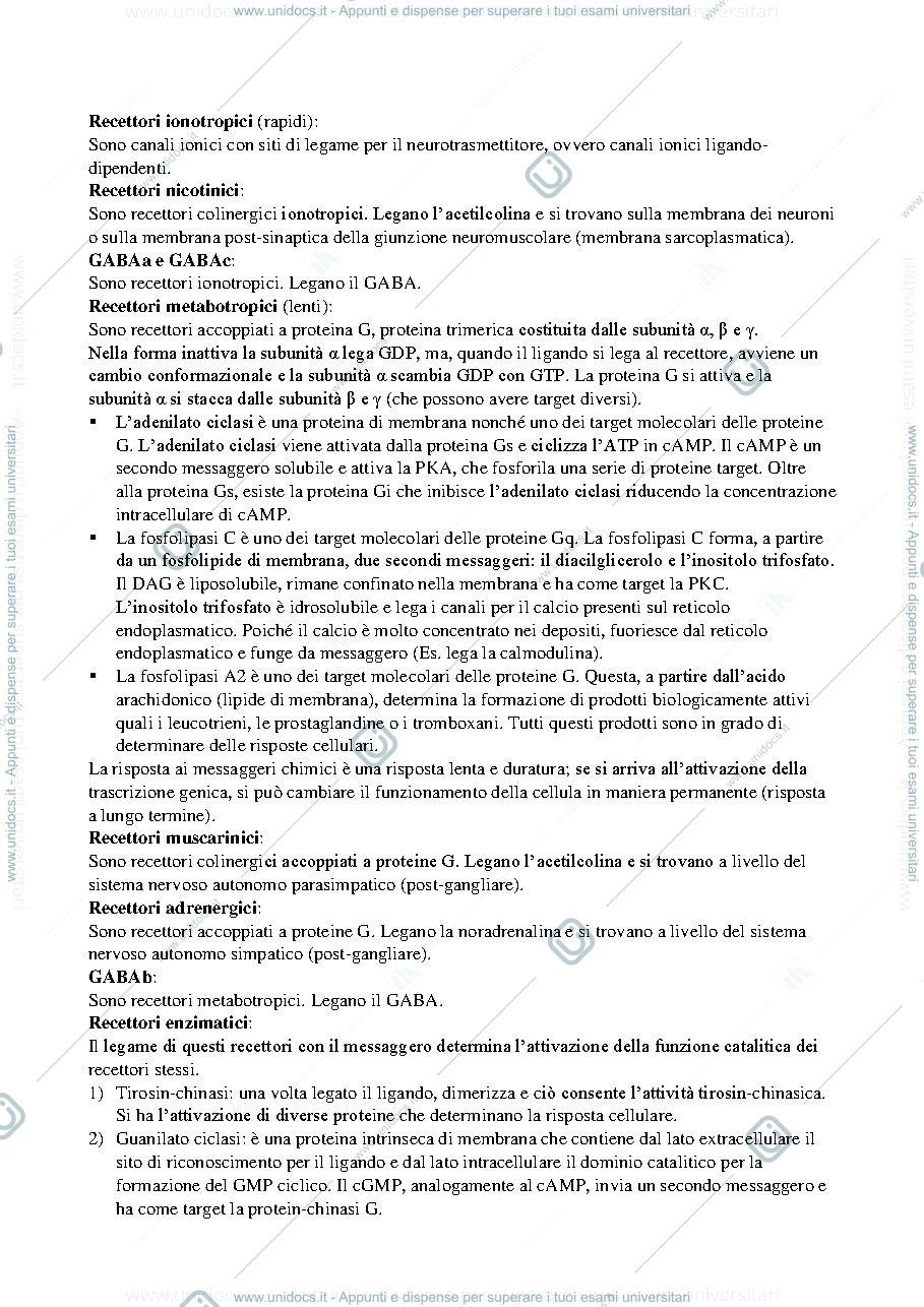Anteprima pagina 1 — Domande d'esame