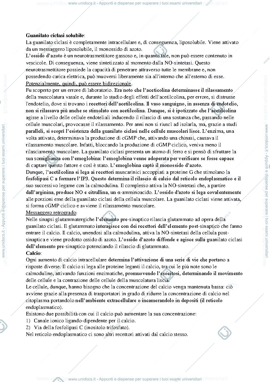 Anteprima pagina 2 — Domande d'esame