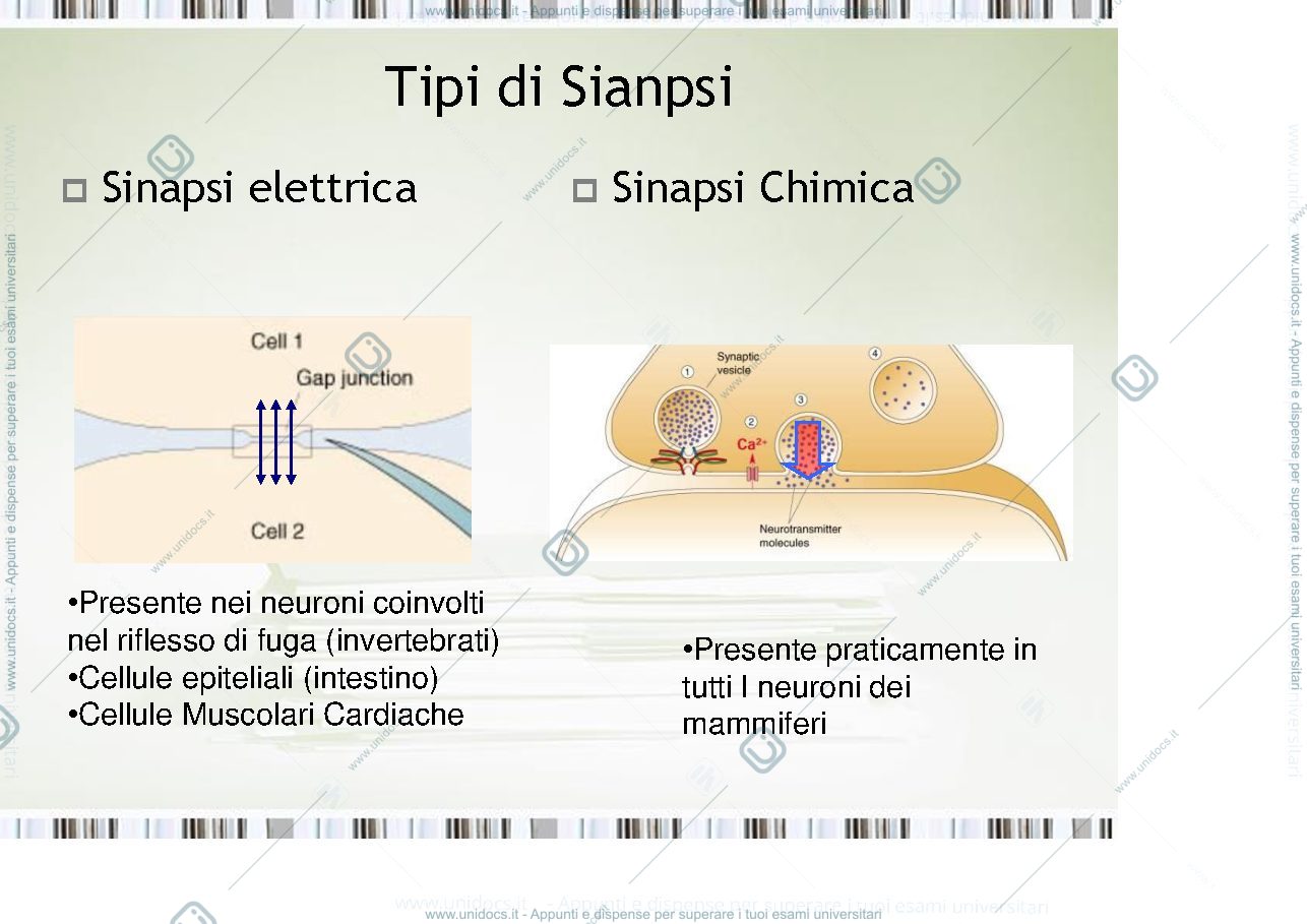 Anteprima pagina 3 — fisiologia generale