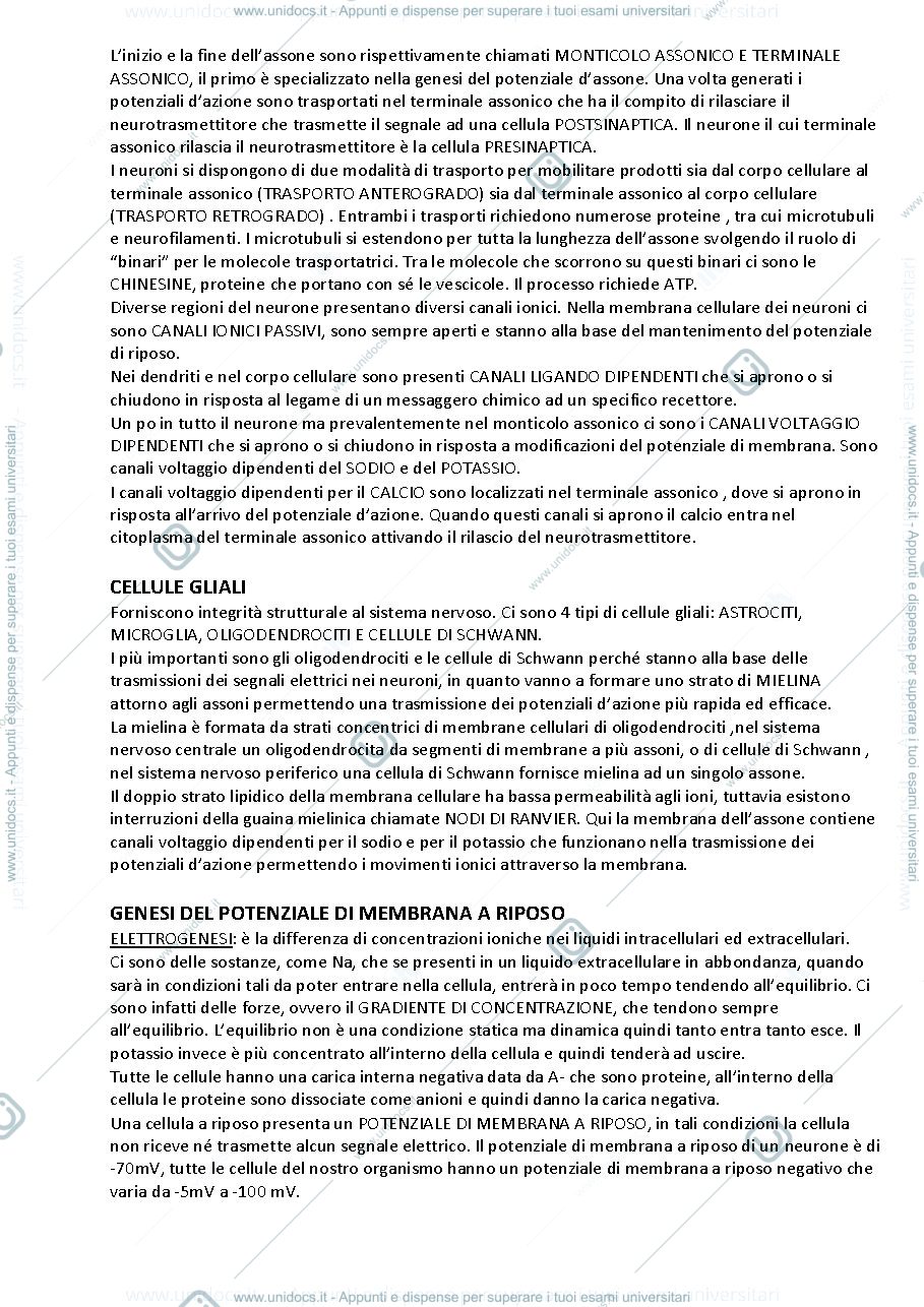 Anteprima pagina 5 — Fisiologia generale