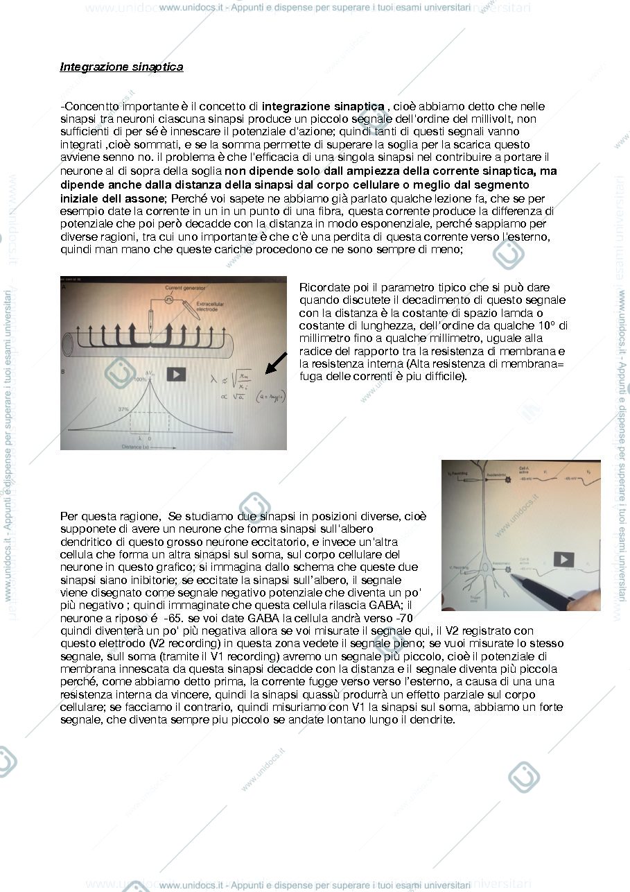 Anteprima pagina 1 — integrazione sinaptica