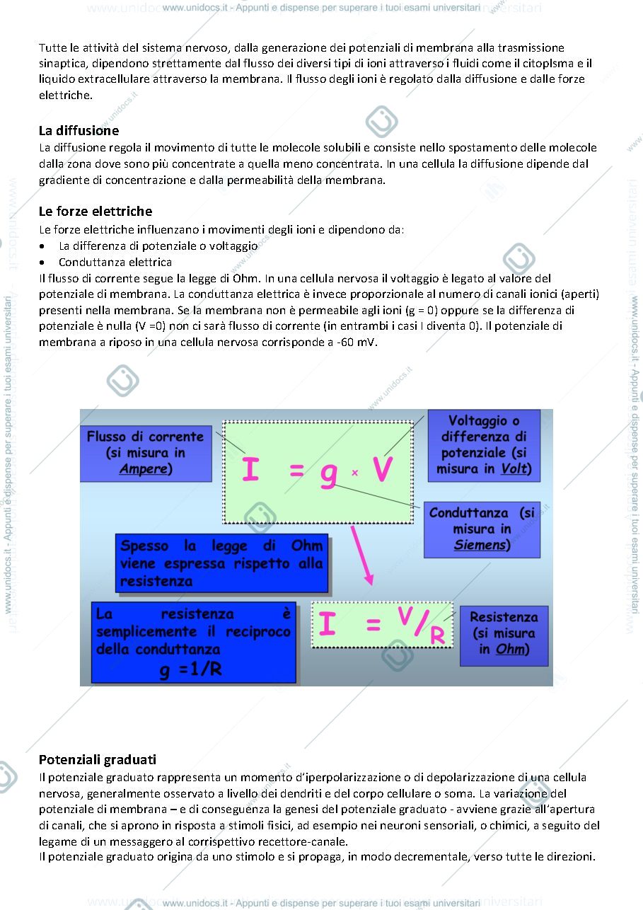 Anteprima pagina 4 — fisiologia