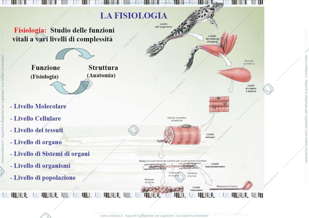 Anteprima pagina 3 — fisiologia generale