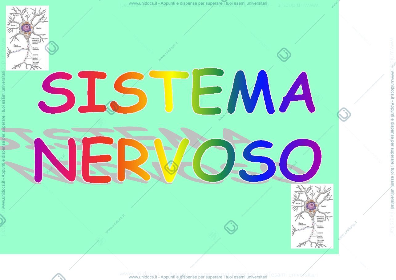 Anteprima pagina 1 — fisiologia generale