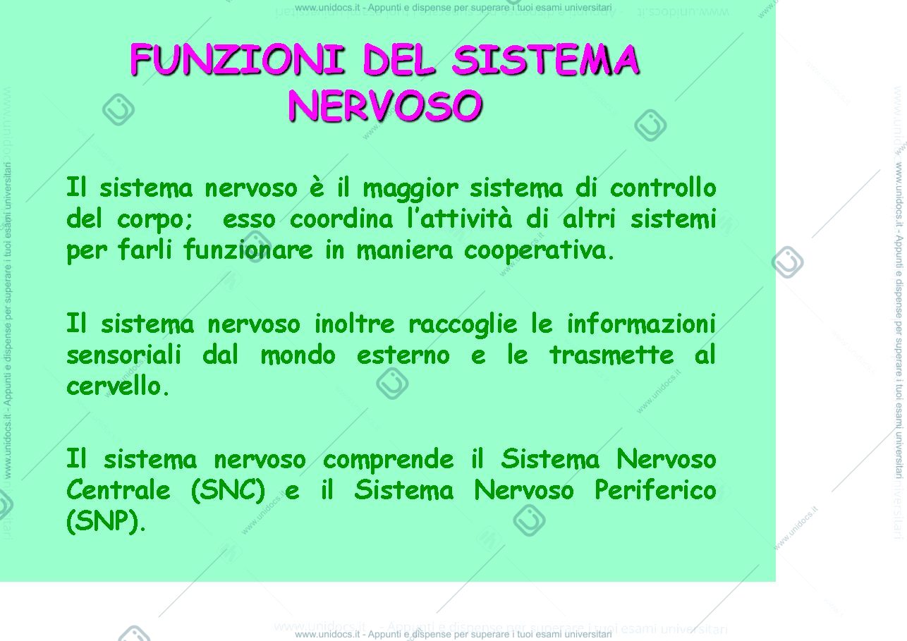 Anteprima pagina 2 — fisiologia generale