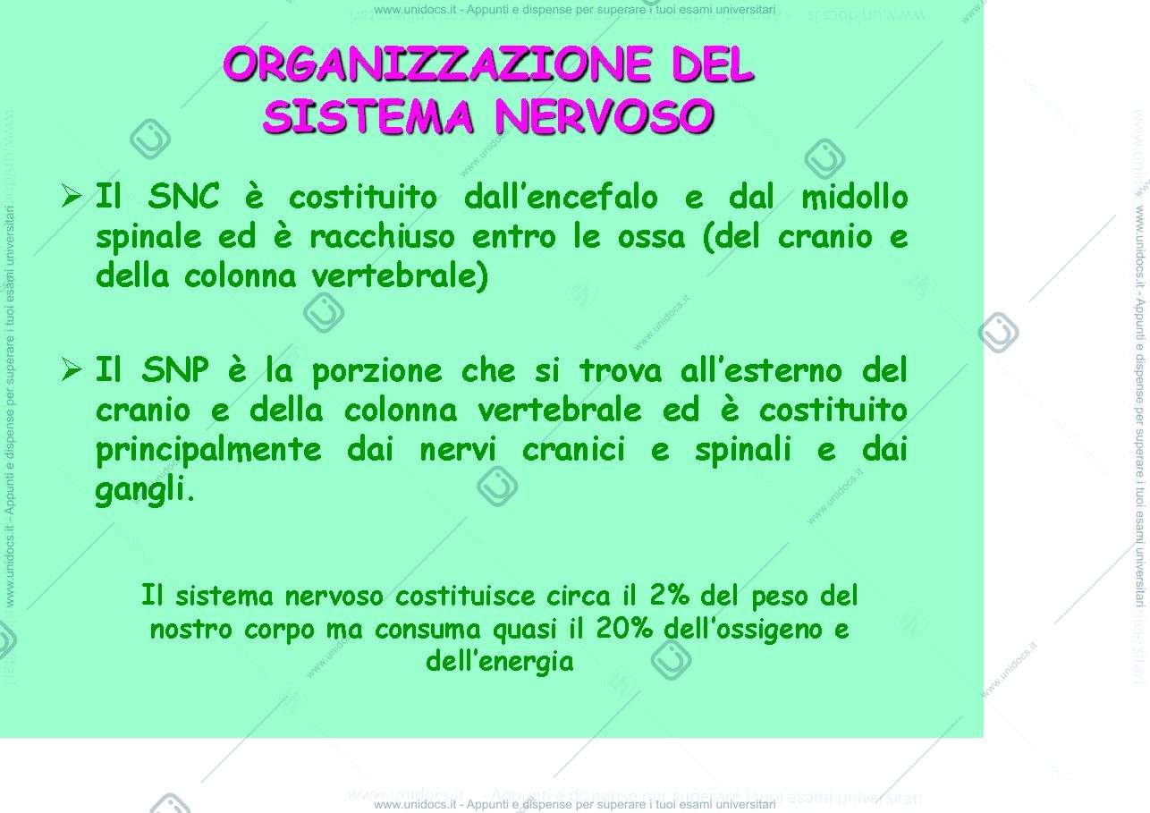 Anteprima pagina 3 — fisiologia generale