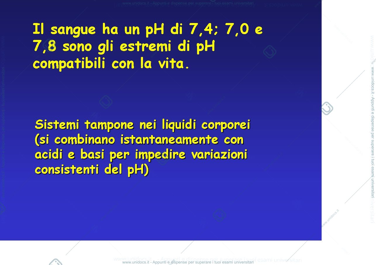 Anteprima pagina 3 — fisiologia generale