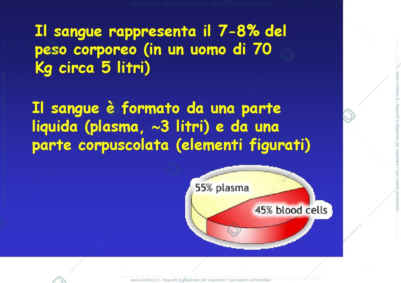 Anteprima pagina 4 — fisiologia generale