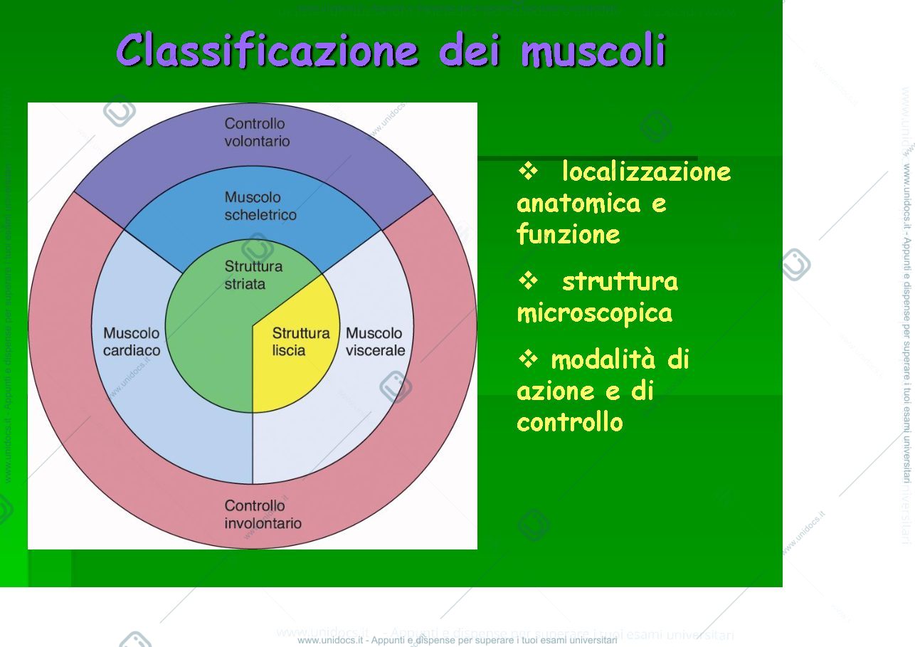 Anteprima pagina 4 — fisiologia generale