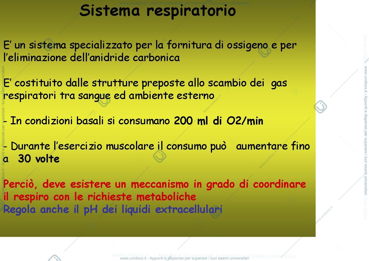 Anteprima pagina 2 — fisiologia generale