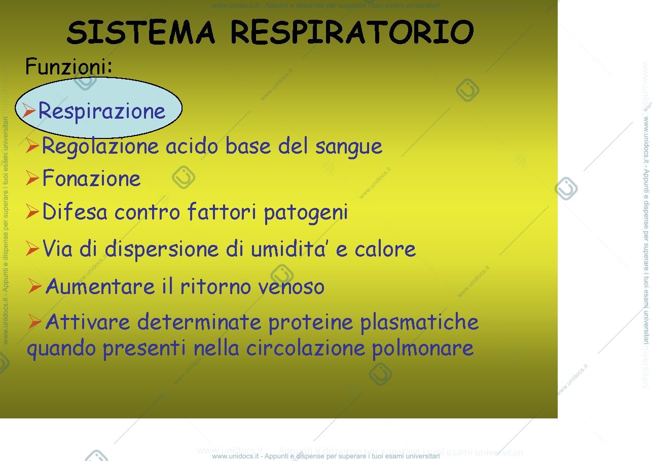 Anteprima pagina 3 — fisiologia generale