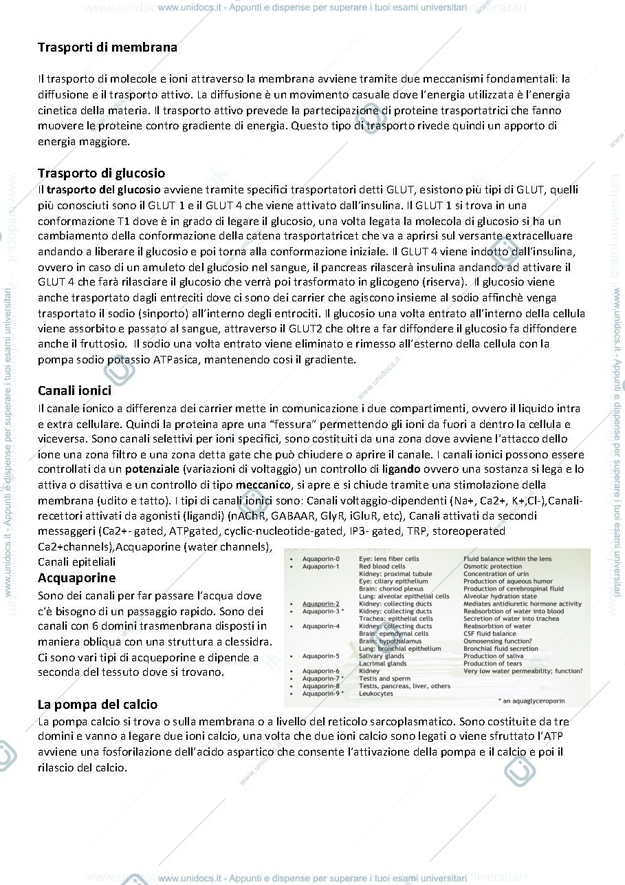 Anteprima pagina 1 — fisiologia