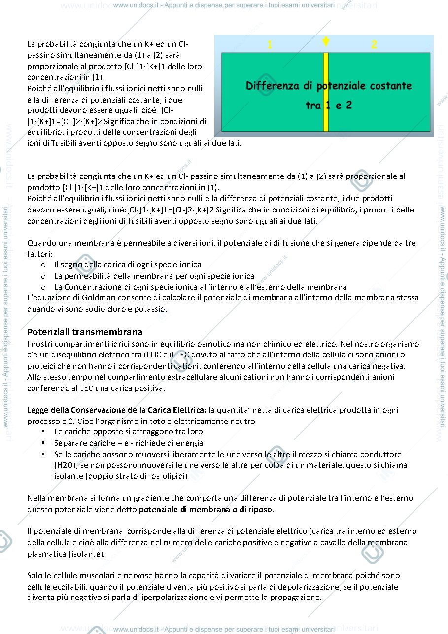 Anteprima pagina 3 — fisiologia