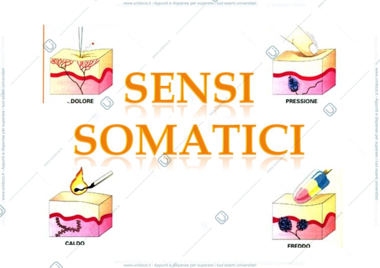 Anteprima pagina 1 — fisiologia generale