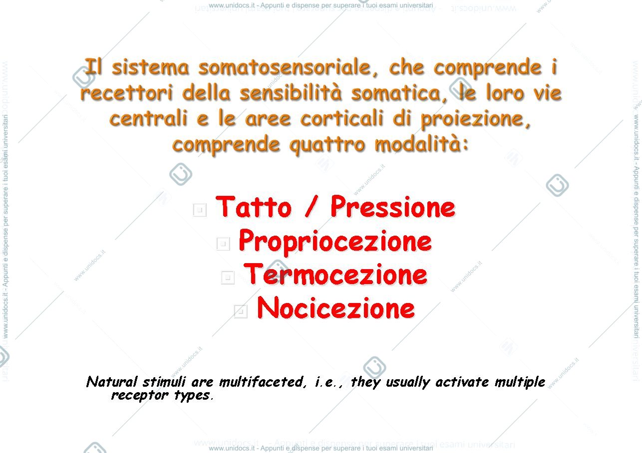 Anteprima pagina 2 — fisiologia generale
