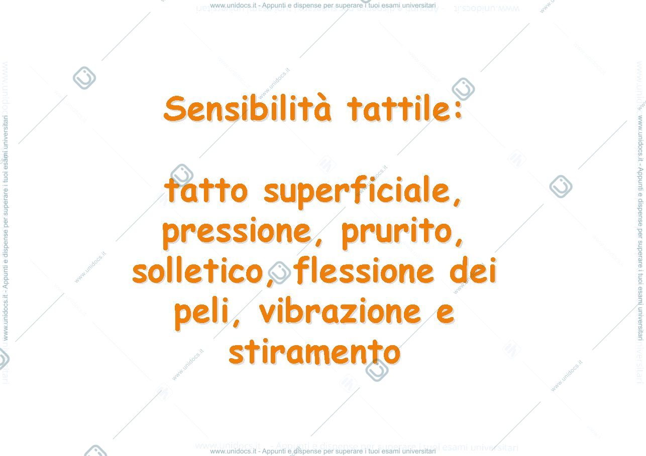 Anteprima pagina 5 — fisiologia generale