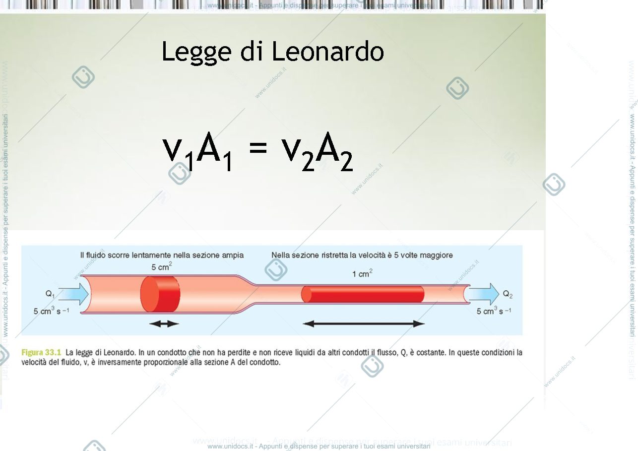 Anteprima pagina 5 — fisiologia generale