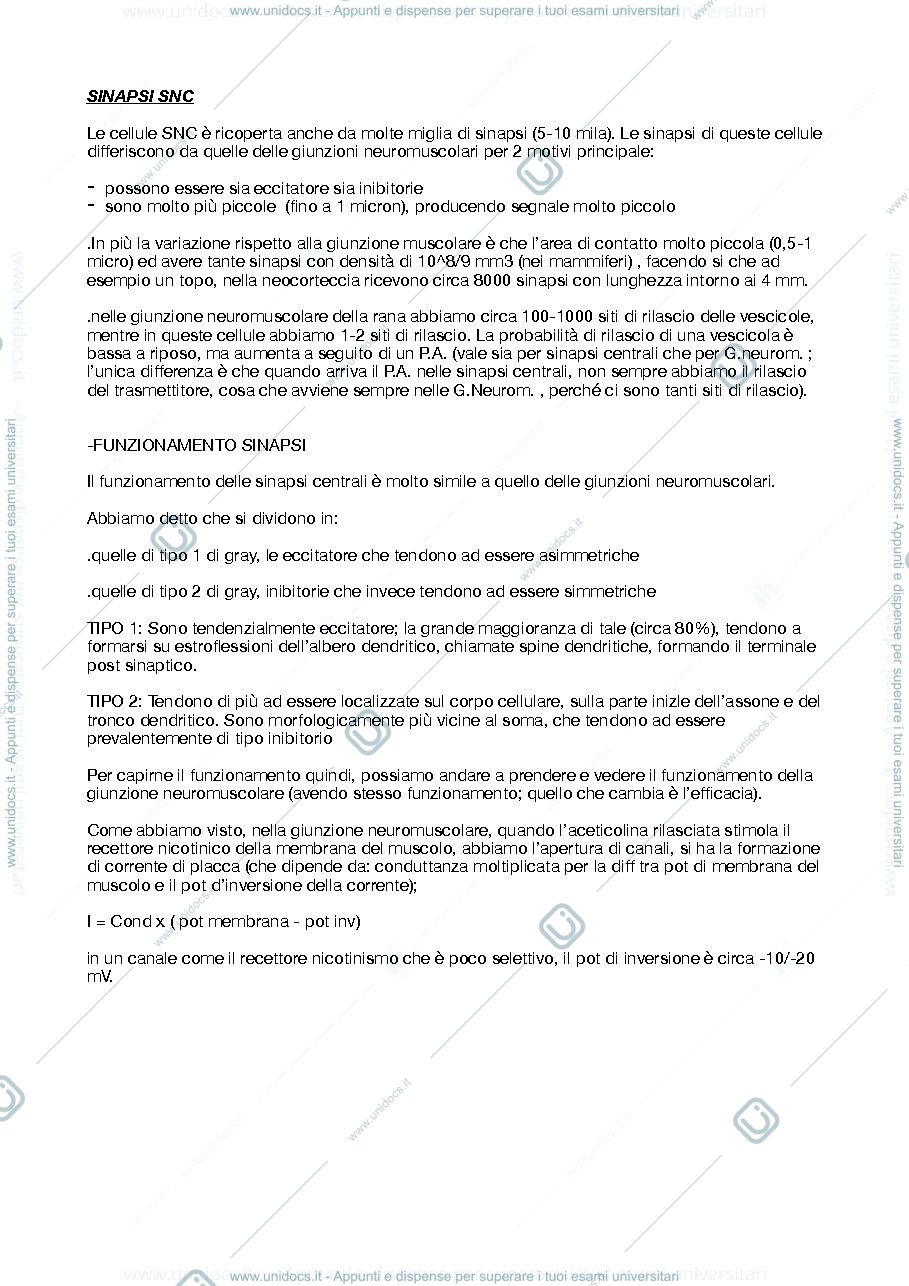 Anteprima pagina 1 — sinapsi 