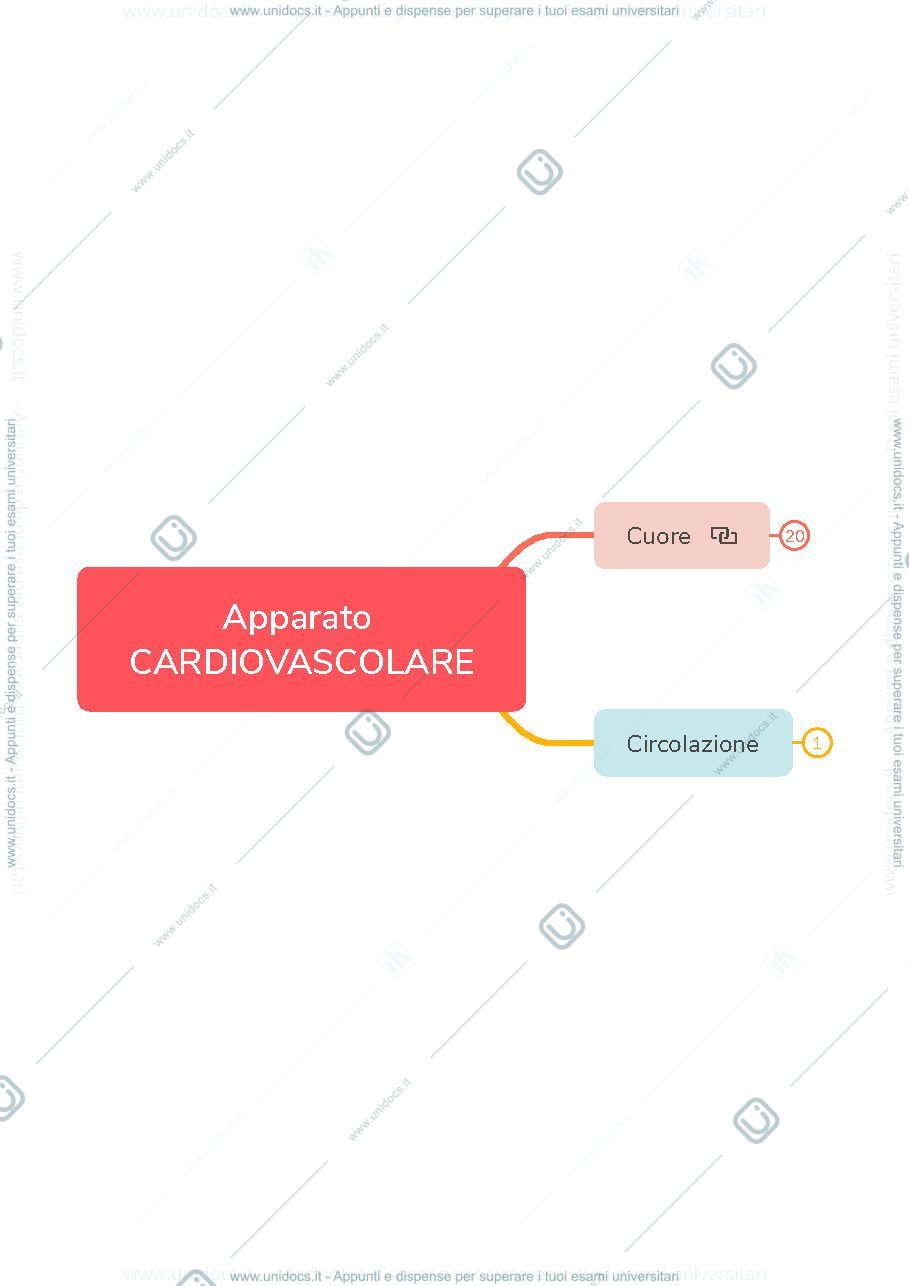 Anteprima pagina 1 — Apparato Cardiocircolatorio 