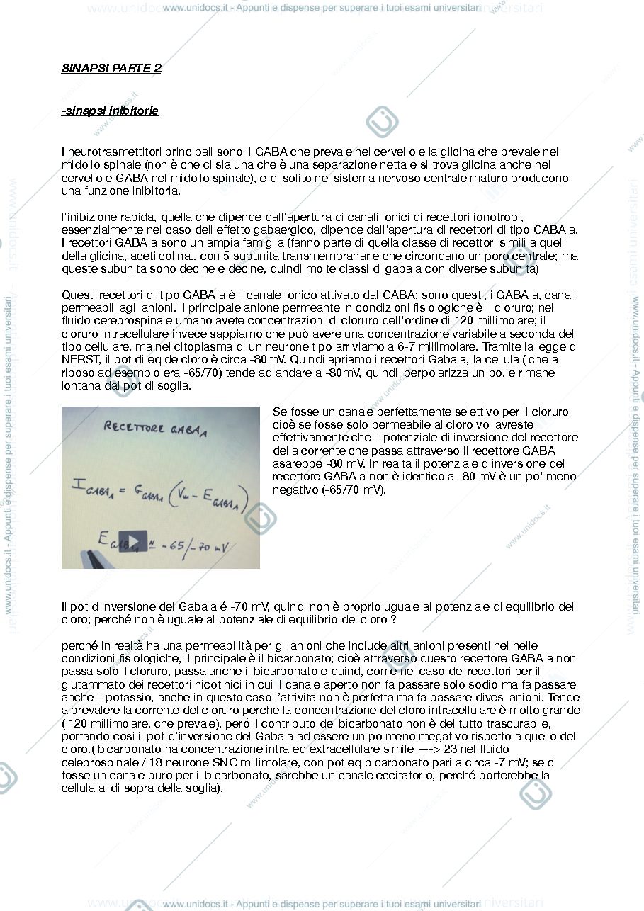 Anteprima pagina 1 — sinapsi inibitorie