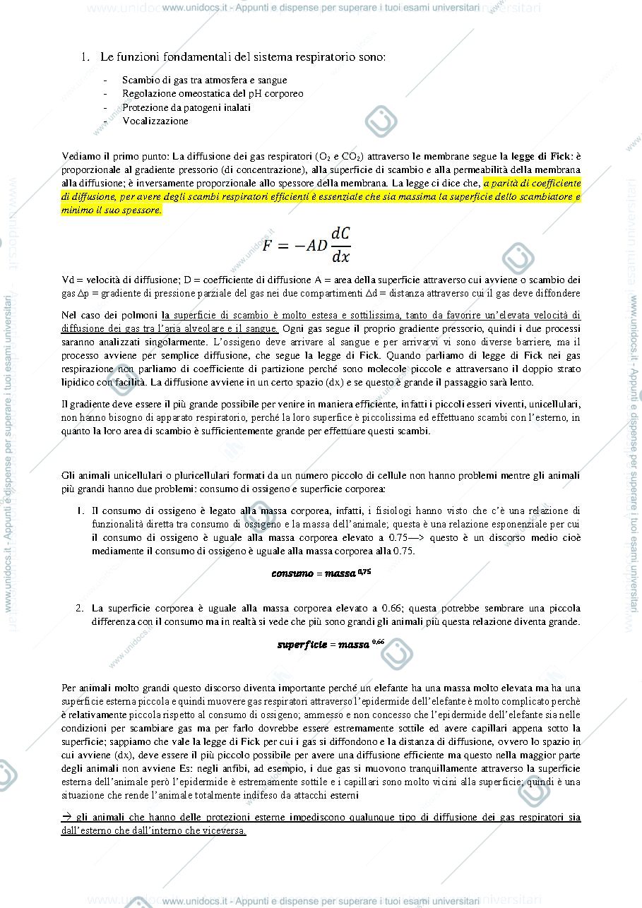 Anteprima pagina 2 — apparato respiratorio