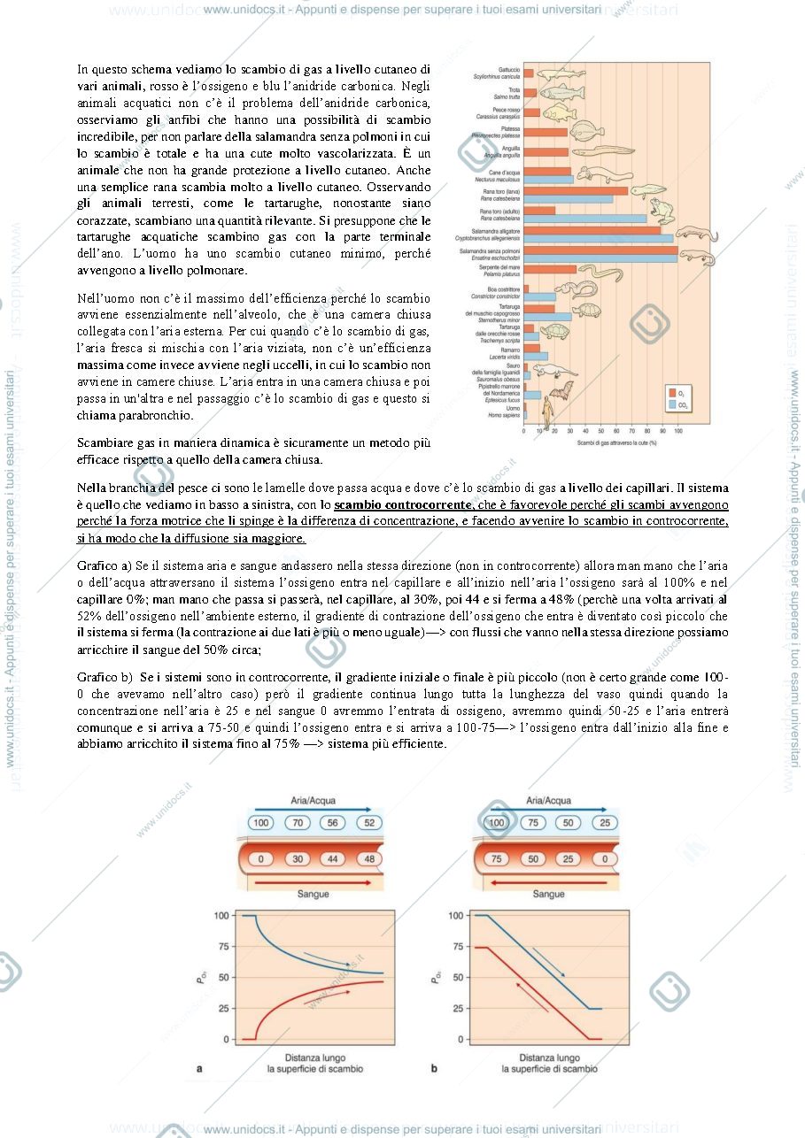 Anteprima pagina 3 — apparato respiratorio