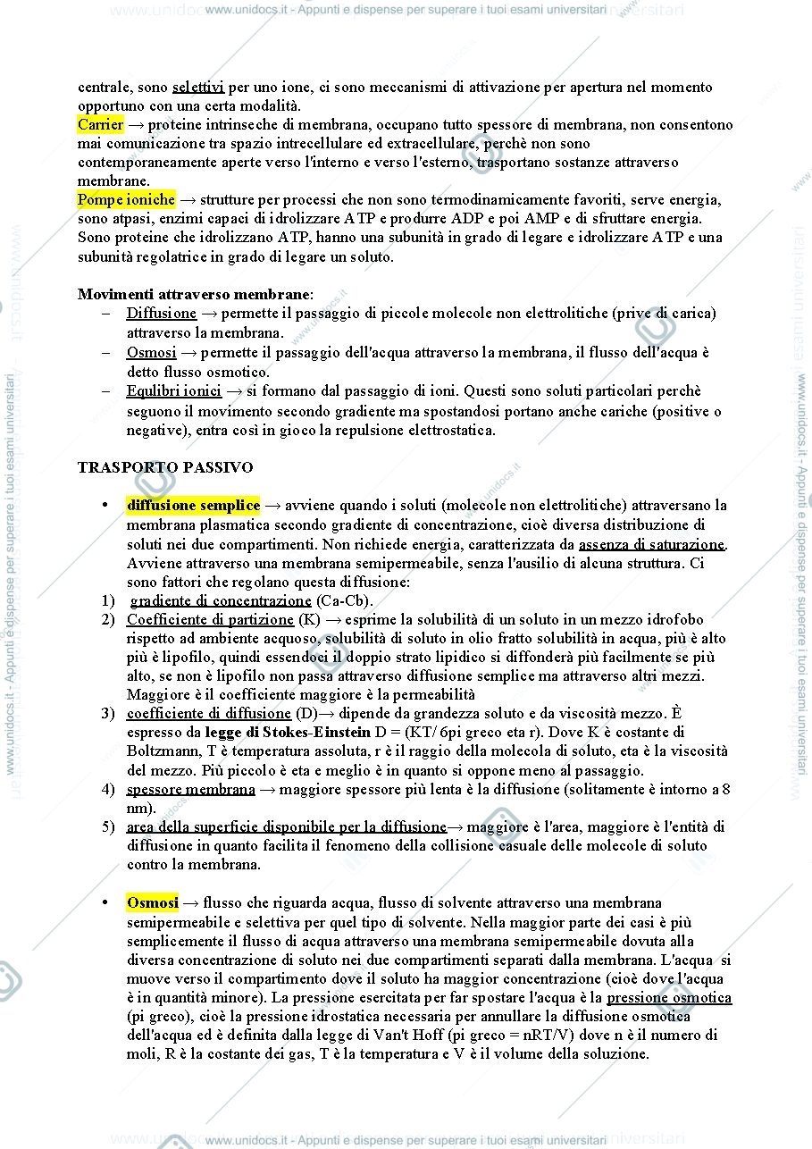 Anteprima pagina 2 — Fisiologia 