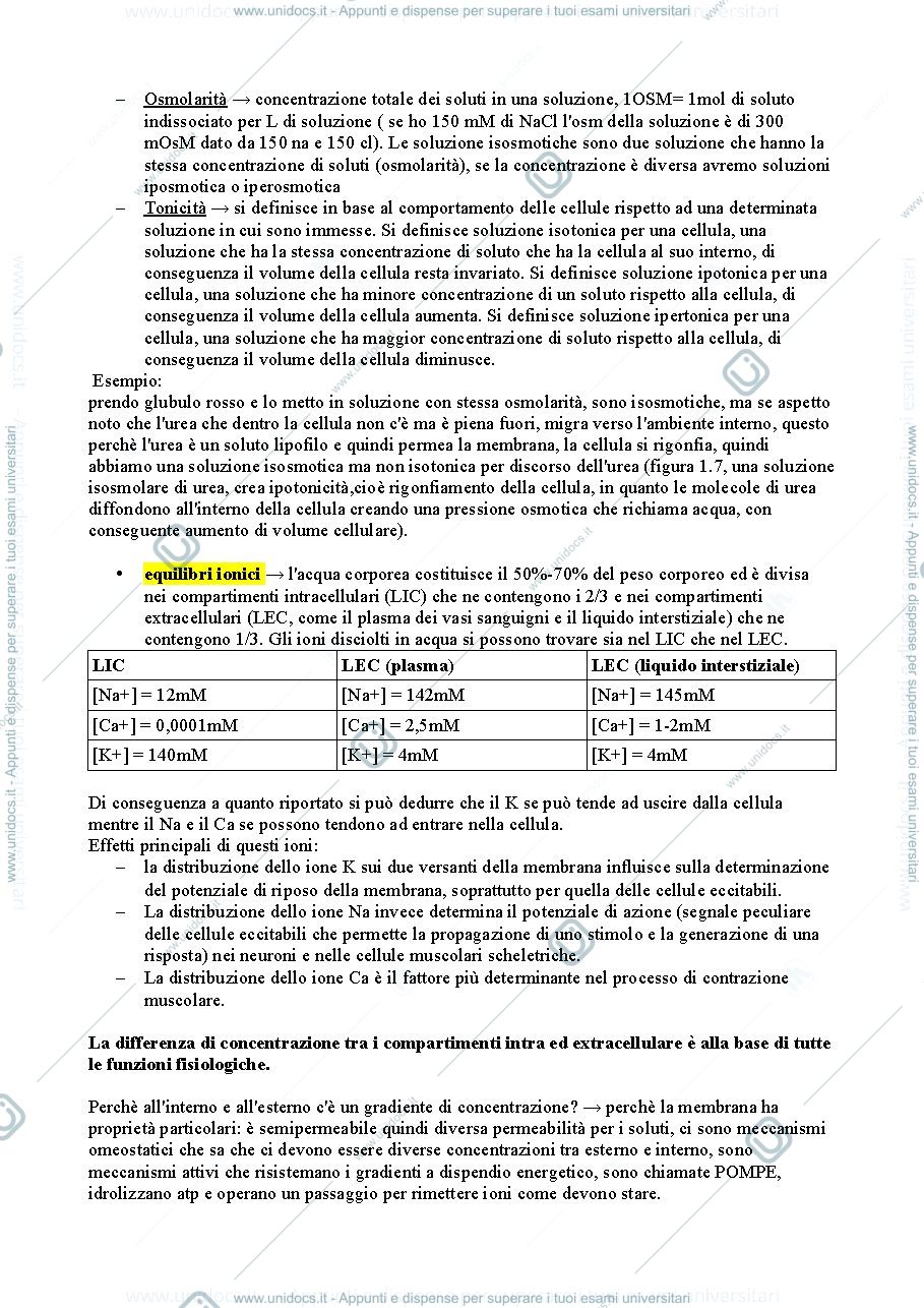 Anteprima pagina 3 — Fisiologia 
