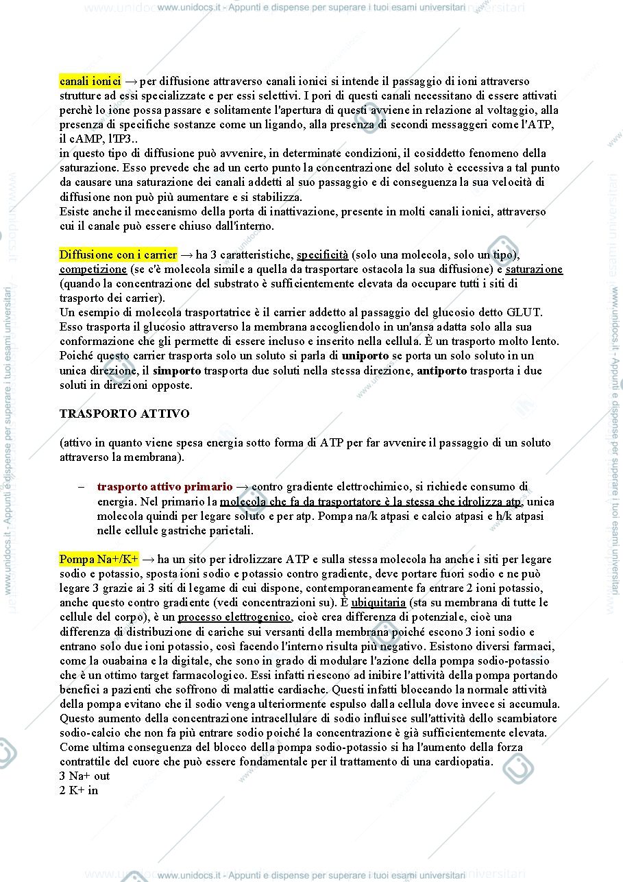 Anteprima pagina 4 — Fisiologia 