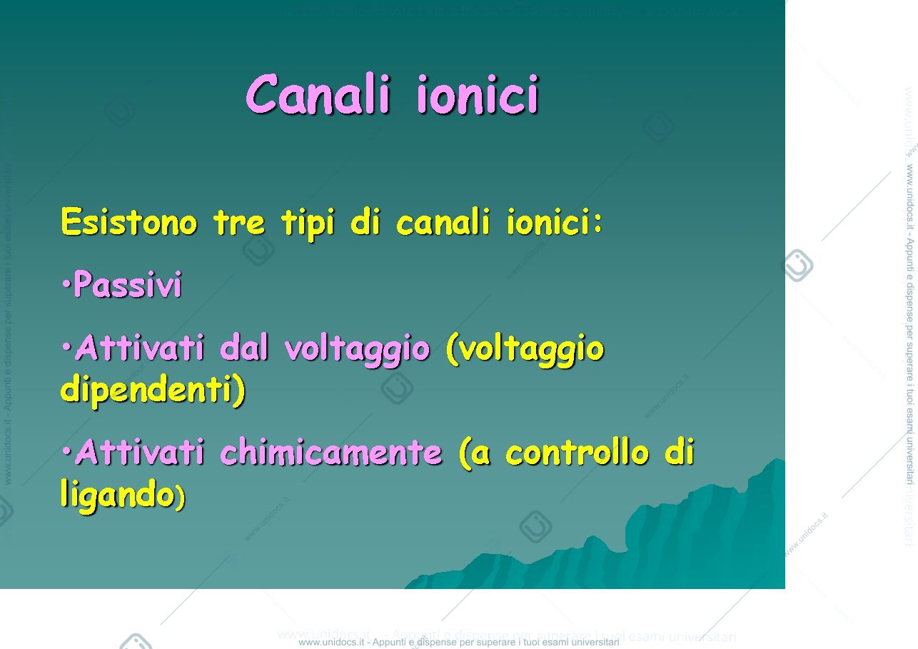 Anteprima pagina 2 — fisiologia generale